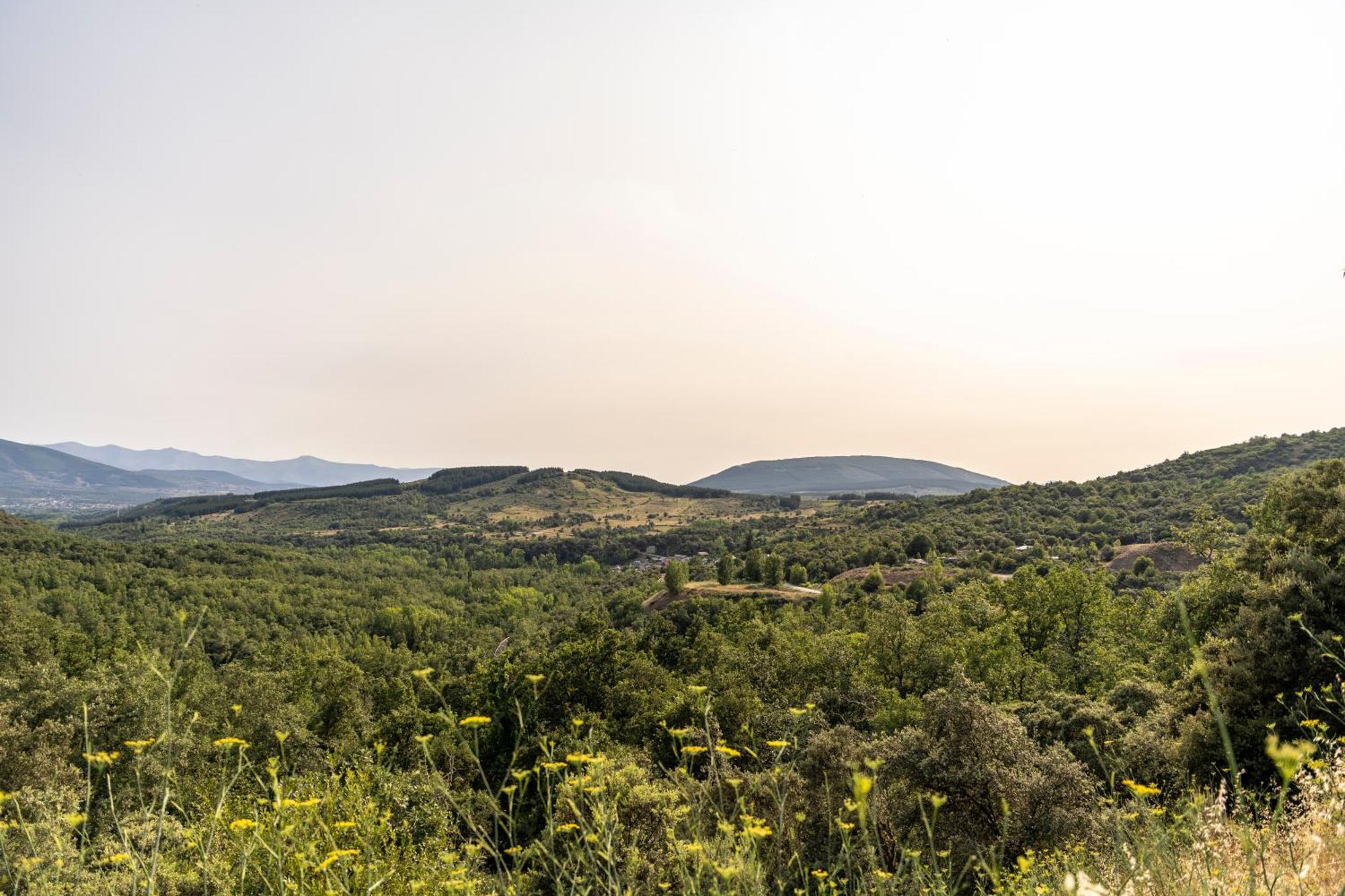 Casa De Turismo Rural Sardom3 Bembibre  Bagian luar foto
