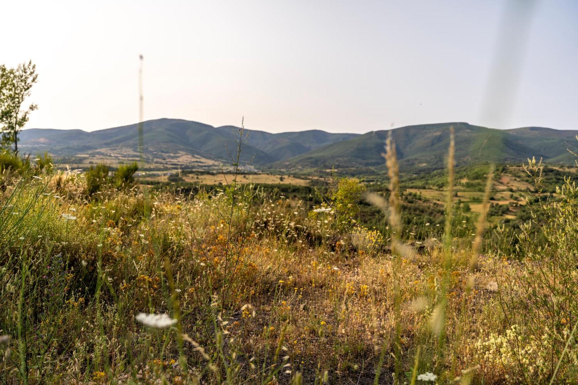 Casa De Turismo Rural Sardom3 Bembibre  Bagian luar foto